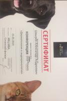 Сертификат сотрудника Швырев А.А.
