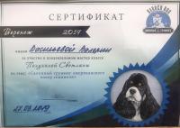 Сертификат сотрудника Васильева В.В.