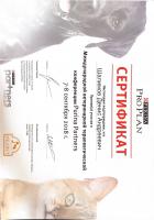 Сертификат сотрудника Шалимов Д.А.