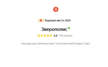 Сертификат клиники Зверополис