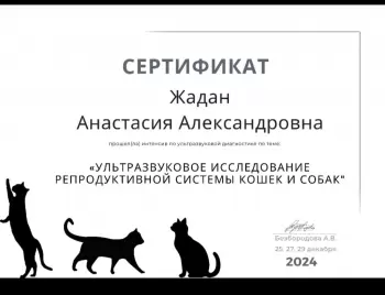 Сертификат отделения Московский 110А