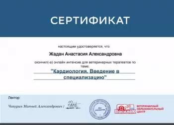 Сертификат отделения Московский 110А