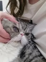 An St, изображение к комментарию.