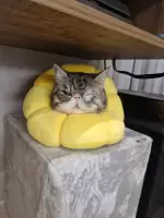 An St, изображение к комментарию.