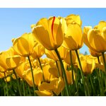 Ольга Олеговна