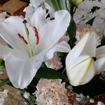 Елена Сабурова