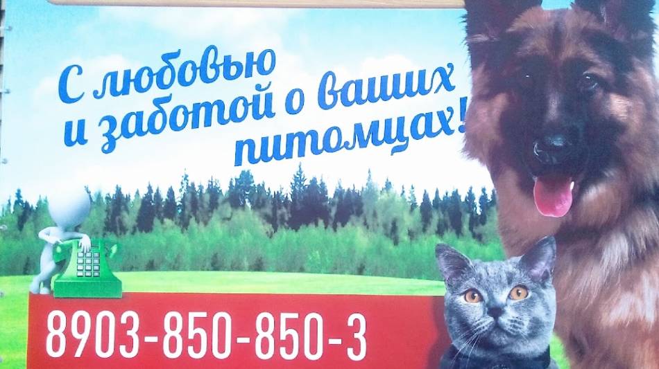 слайд
