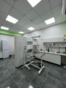 Фотография ЗооВет36 0