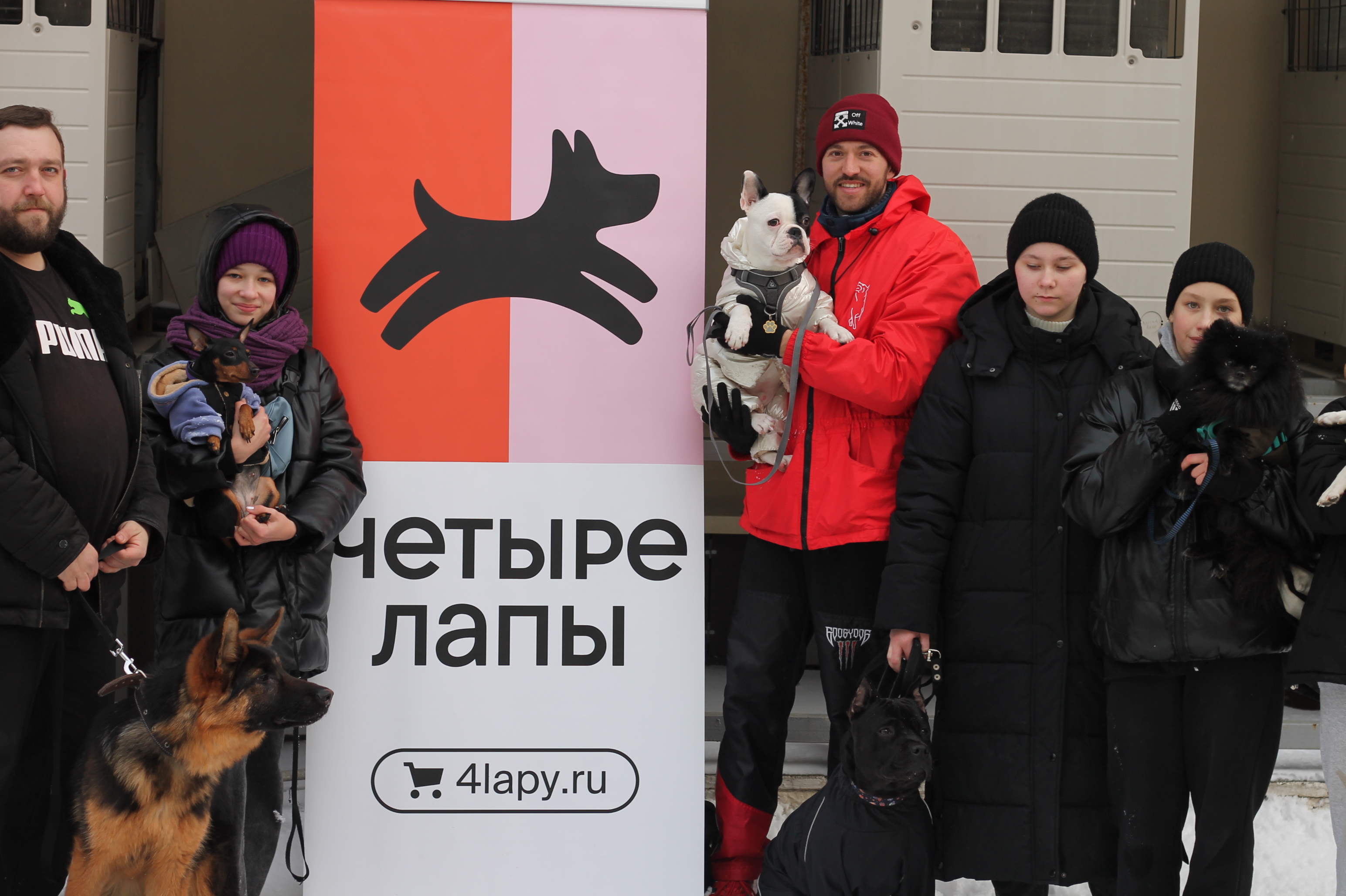 Дрессировка собак в Воронеже на 3 Интернационала - цены и отзывы 🏆