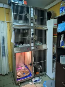 Фотография Мадагаскар 1