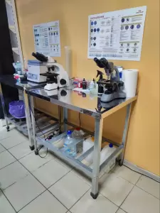 Фотография Мадагаскар 5