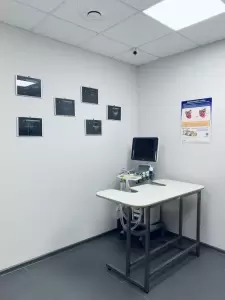 Фотография ЗооВет36 3