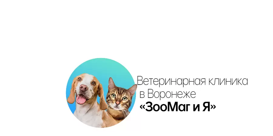 слайд